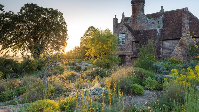 Sun bathes yellow asphodel spikes, with the new 'ravine' visible behind